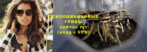 ГАЛЛЮЦИНОГЕННЫЕ ГРИБЫ Абинск