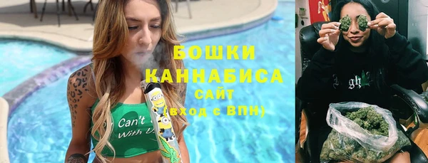 альфа пвп Гусиноозёрск