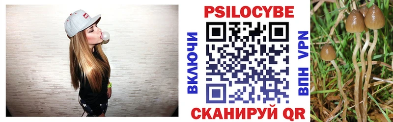 Псилоцибиновые грибы Cubensis  Урус-Мартан 